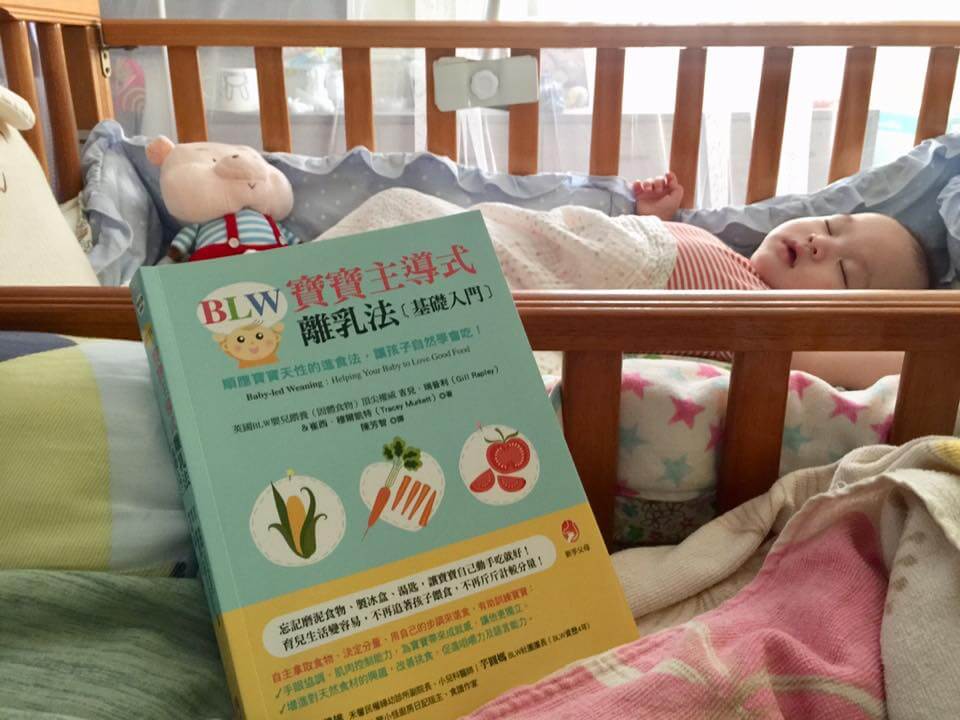 【荳的早餐時光】BLW寶寶主導式離乳法